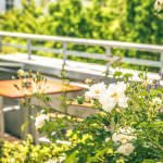 Dachterrasse 3 / roof terrace